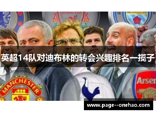 英超14队对迪布林的转会兴趣排名一揽子