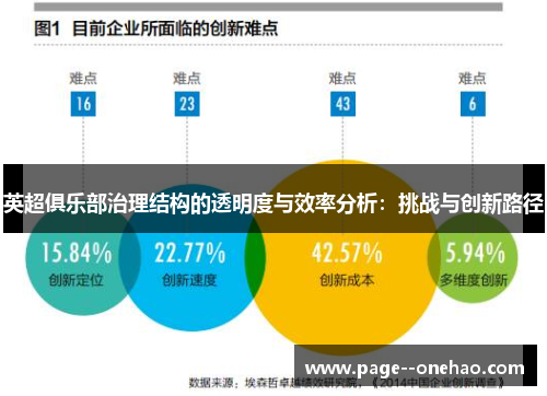 英超俱乐部治理结构的透明度与效率分析:挑战与创新路径 英超俱乐部治理结构的透明度与效率分析:挑战与创新路径