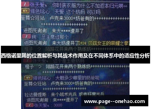 西格诺里踢的位置解析与其战术作用及在不同体系中的适应性分析 西格诺里踢的位置解析与其战术作用及在不同体系中的适应性分析
