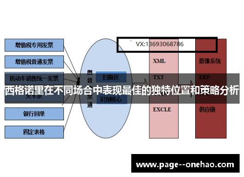 西格诺里在不同场合中表现最佳的独特位置和策略分析
