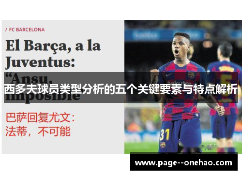 西多夫球员类型分析的五个关键要素与特点解析 西多夫球员类型分析的五个关键要素与特点解析