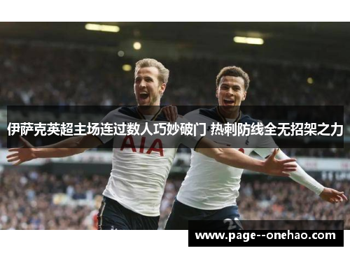 伊萨克英超主场连过数人巧妙破门 热刺防线全无招架之力 伊萨克英超主场连过数人巧妙破门 热刺防线全无招架之力