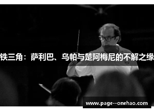 铁三角：萨利巴、乌帕与楚阿梅尼的不解之缘