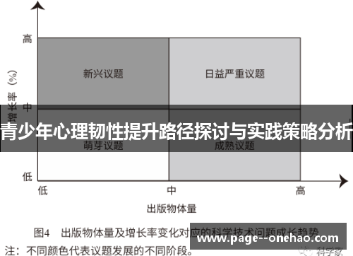 青少年心理韧性提升路径探讨与实践策略分析